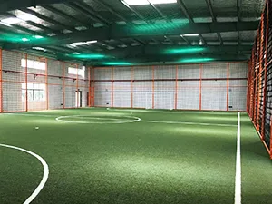 Gazon synthétique Multisports