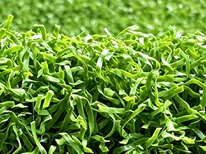 Gazon de Golf et Putting Greens