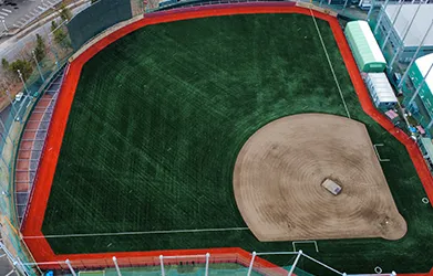Gazon synthétique pour baseball Mono-B 65