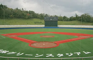 Gazon synthétique pour baseball Mono-B 65