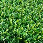 Gazon synthétique pour fairway de golf