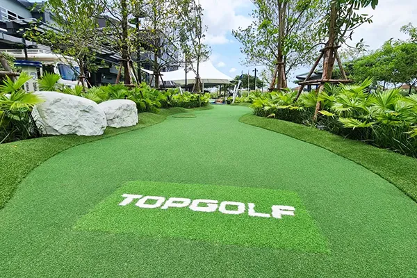 Gazon synthétique de putting green
