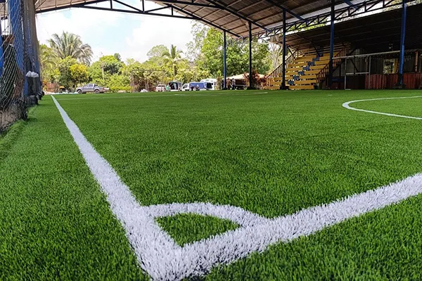 Terrain de sport en gazon