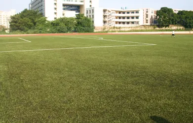 Gazon Synthétique pour le Football TenCate