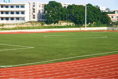 Gazon Synthétique pour le Football TenCate